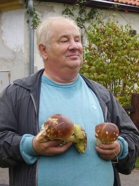 Autor: Vlasta Kuvšinovová
Název: Klikov