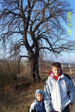 Autor: mamka
Název: Honzík a Nicolas
