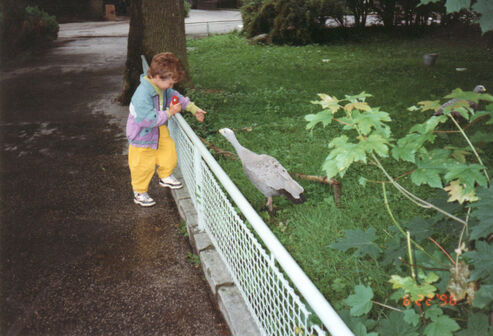 Autor: Hana Hořínková
Název: ZOO Ohrada