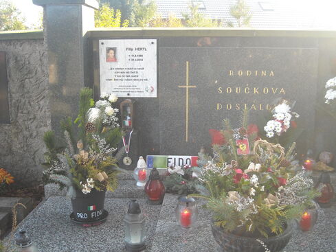 Autor: Zuzana Hertlová
Název: Fidovo