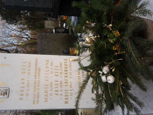 Autor: Stáňa Jiřičková
Název: vánoce 2012