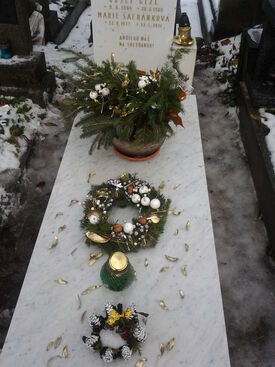 Autor: Stáňa Jiřičková
Název: vánoce 2012
