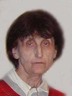 Autor: Martin Holík
Název: vánoce 2006