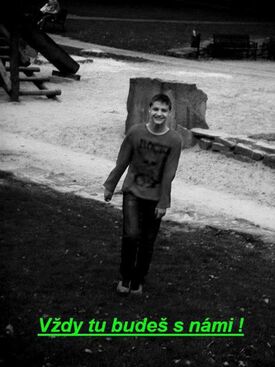 Autor: Radka Malecová
Název: nikdy nezapomenu...