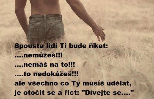 Autor: Mamka - Zuzka
Název: Fidovo motto....