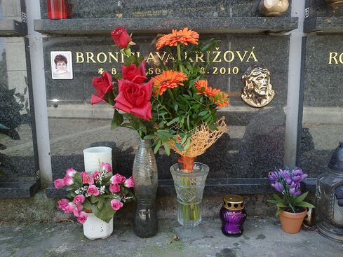 Autor: Bronislava Grebeníčková
Název: 18.8.2013