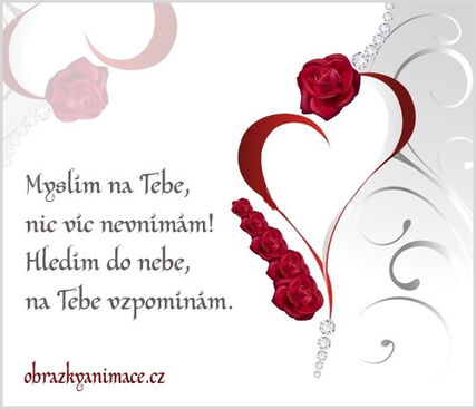 Autor: manželka
Název: pro moji LÁSKU