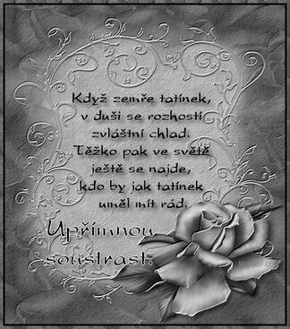 Autor: Zdenka Šmejkalová
Název: kondolence
