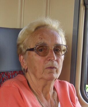 Autor: Hana Mlnáříková
Název: 2009