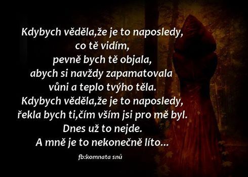 Autor: Lenka Čermáková
Název: ........