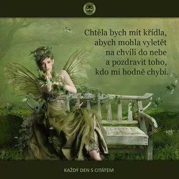 Autor: Monika Mikulinova
Název: Vzpominka