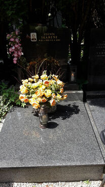 Autor: Marta Skamenova
Název: hrob 9.9.2015
