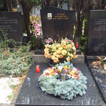 Autor: Marta Skamenova
Název: dusicky 2015