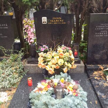 Autor: Marta Skamenova
Název: dusicky 2015 1