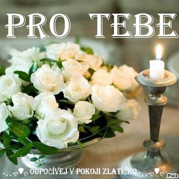 Autor: Večeřová
Název: pro Vítka