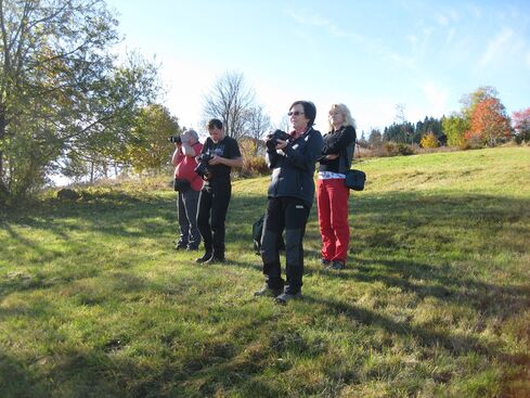 Autor: Eva Pšikalová
Název: Workshop na Šumavě, 2012-10-19