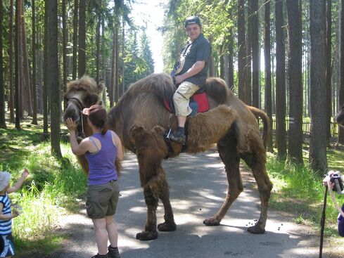 Autor: Eva Pšikalová
Název: Projížďka na velbloudech, 2010-06-06