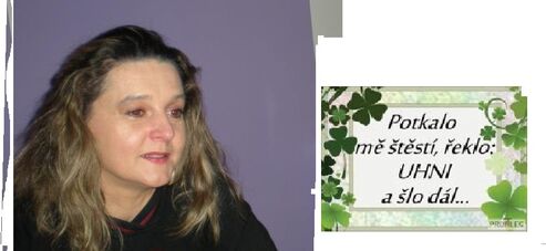 Autor: Marie Gajdošová
Název: vzpomínka