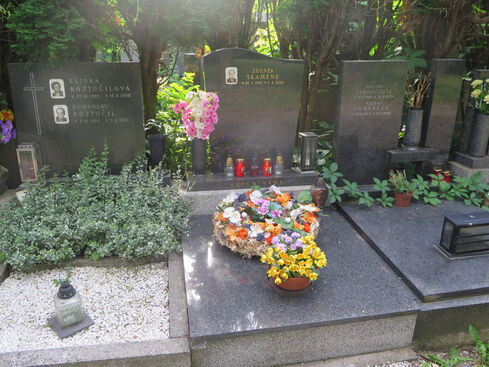 Autor: Marta Skamenova
Název: 7.7.2016