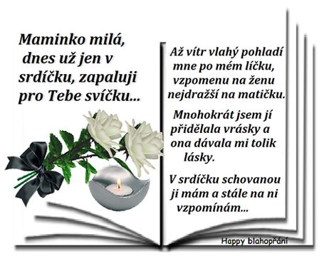 Autor: Zdeňka Šmejkalová
Název: mamince