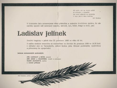 Autor: Jiří Jelínek
Název: lada
