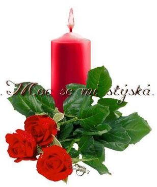 Autor: vecerová
Název: Večeřová synovi