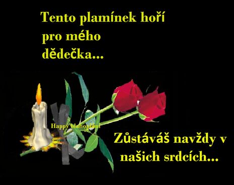 Autor: Věra Metelková
Název: pro mího milovaného dědu 