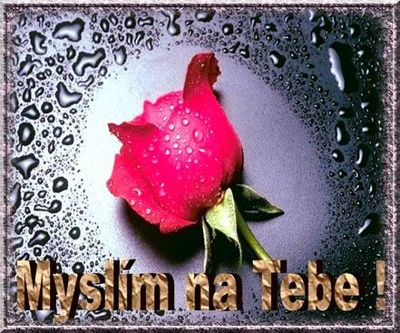 Autor: Tvoje Petí♥
Název: Tatínku........♥~♥