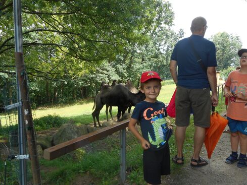 Autor: Zdeněk Polanský
Název: zoo park hrádeček 