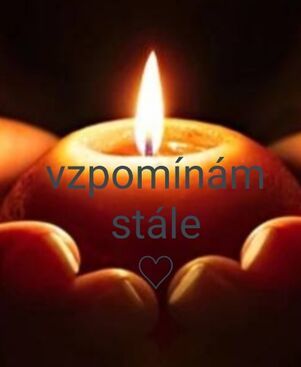 Autor: ......
Název: .....