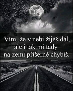Ladislav Měšťánek