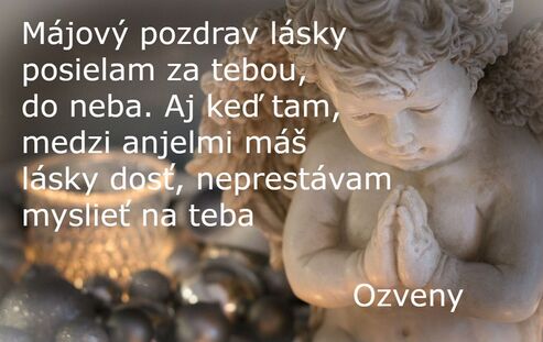 Autor: Test Test
Název: 