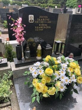 Autor: Marta Skamenova
Název: boza napis