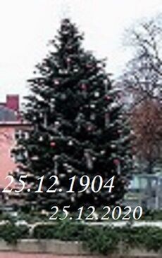 Autor: František Krpálek
Název: 25.12.1904 - 25.12.2020 - vzpomínáme - cěti