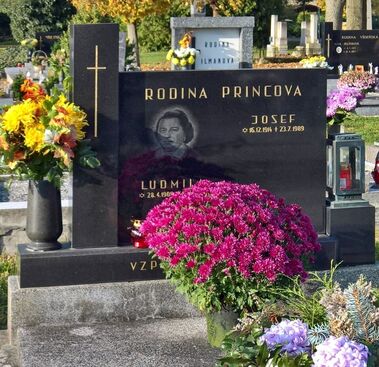 Autor: Václav Uhlíř
Název: Princ. Ludmila