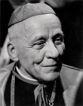 Josef Beran
