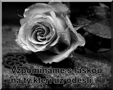 Autor: Ivana  Pelikánová
Název: Můj muž...
