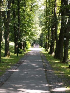 Autor: Iva 
Název: Myslím na vás oba