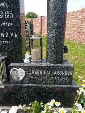 Autor: Maminka a Sendynka ♥
Název: Po šestnácti letech jsem konečně našla sílu zvětčnit Tě na rodinný pomník