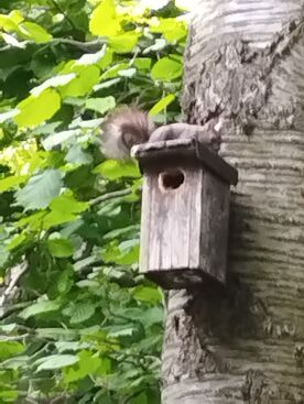 Autor: Iva 
Název: Vzpomínám:-(