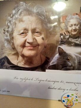 Autor: Zuzka vnučka
Název: 