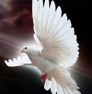 Autor: :-( :-(
Název: :-(