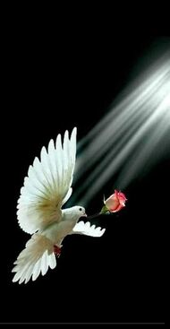 Marie&nbsp;&nbsp;Zamrzlová z Radotína