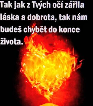 Autor: Jana Pleyerová
Název: Krásné druhé nebeské narozeniny lásko.❤️‍
