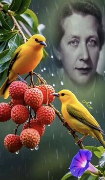 Autor: Ivana&nbsp;&nbsp;Pelikánová
Název: Láska...