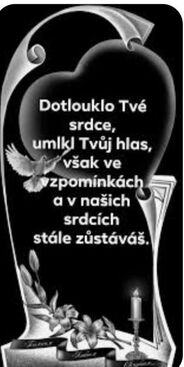 Autor: Baba Jahůdka
Název: Rip