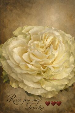 Autor: máma ❤️❤️❤️ 
Název: kytička pro Terezku